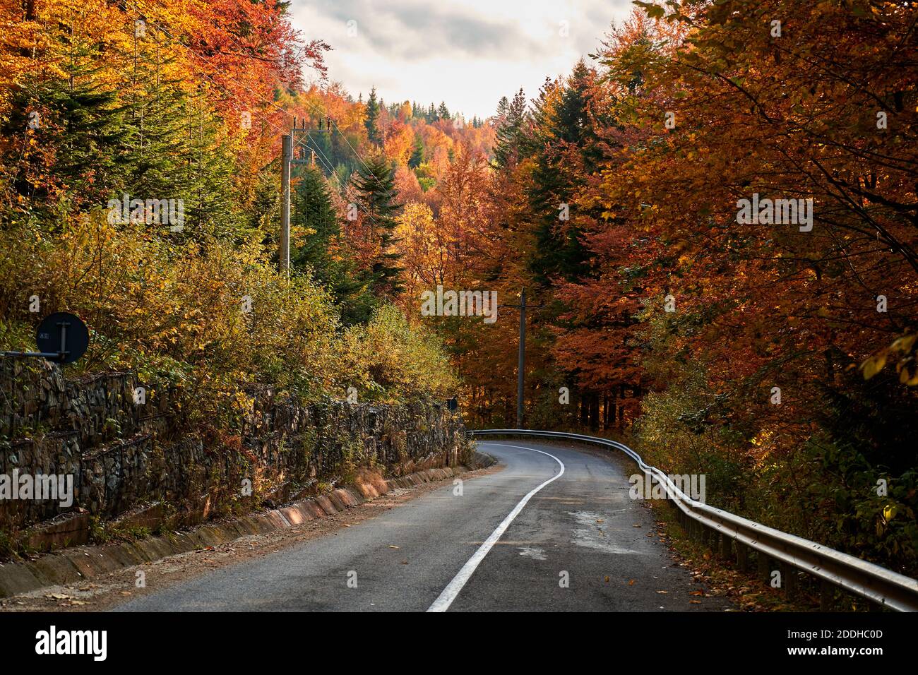 Asphalt road through colorful deciduous forest in the autumn Stock ...