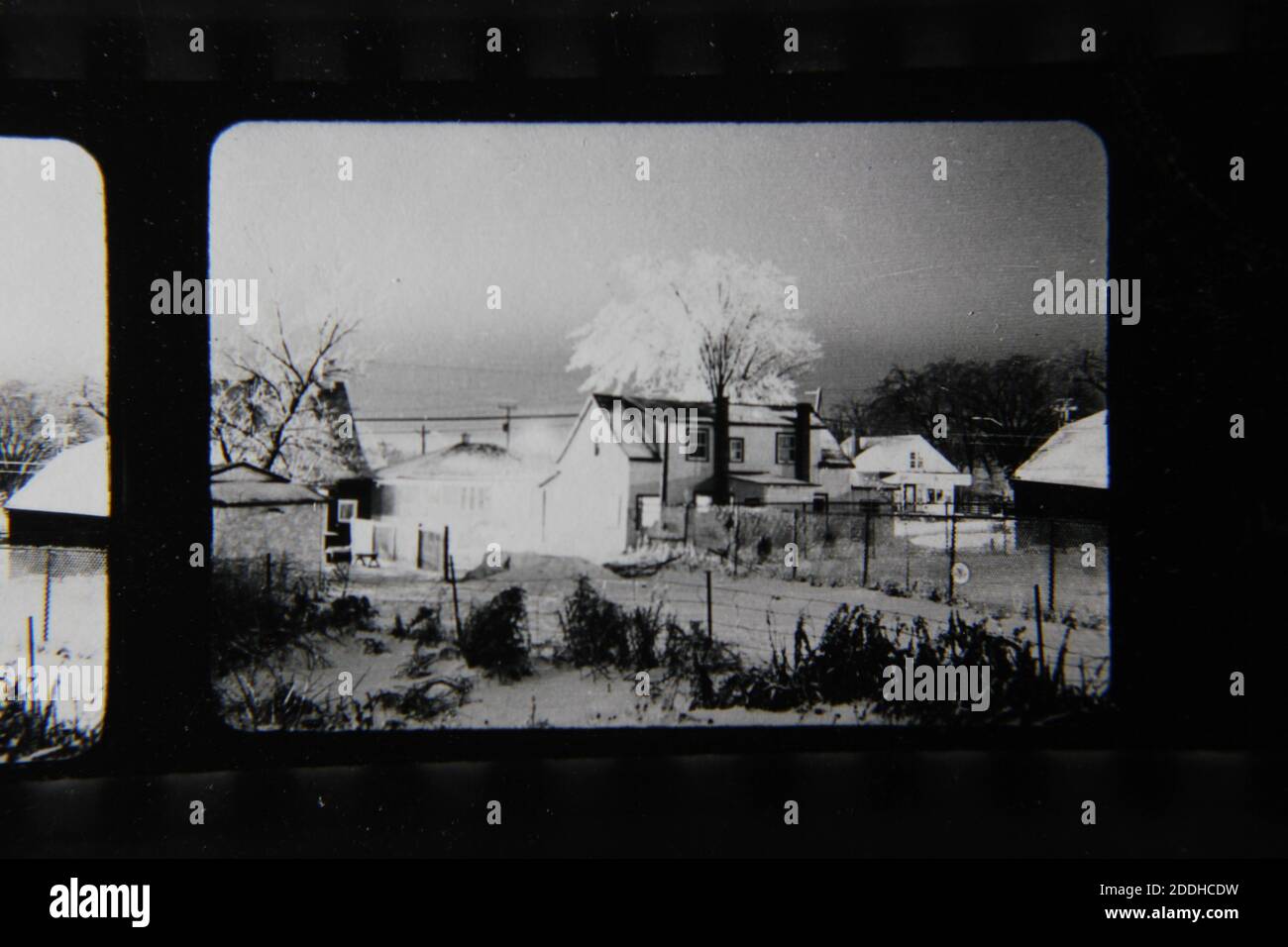Fine 1970s vintage black and white photography of the natural beauty of ...