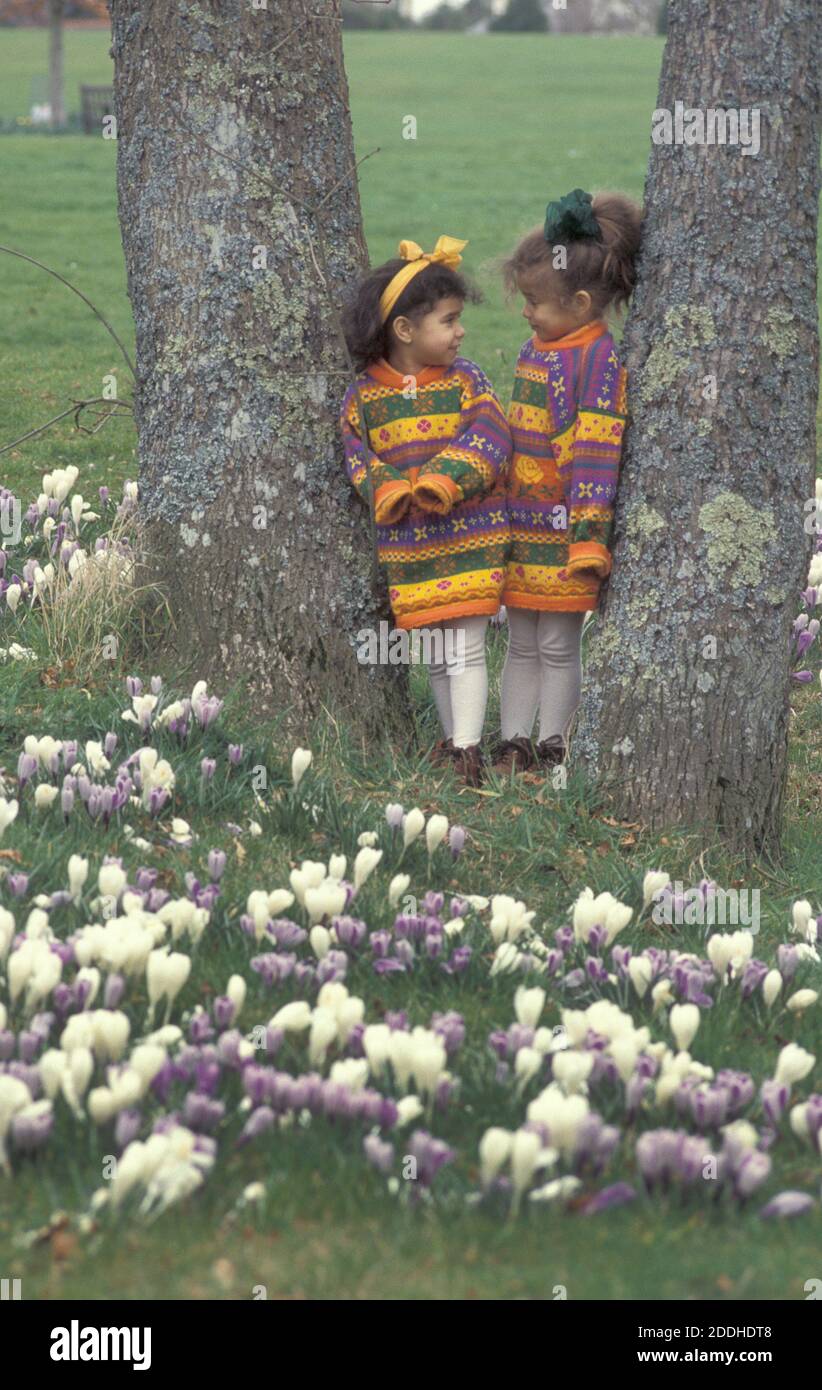 two little sisters standing among crocuses having a cute conversation Stock Photo