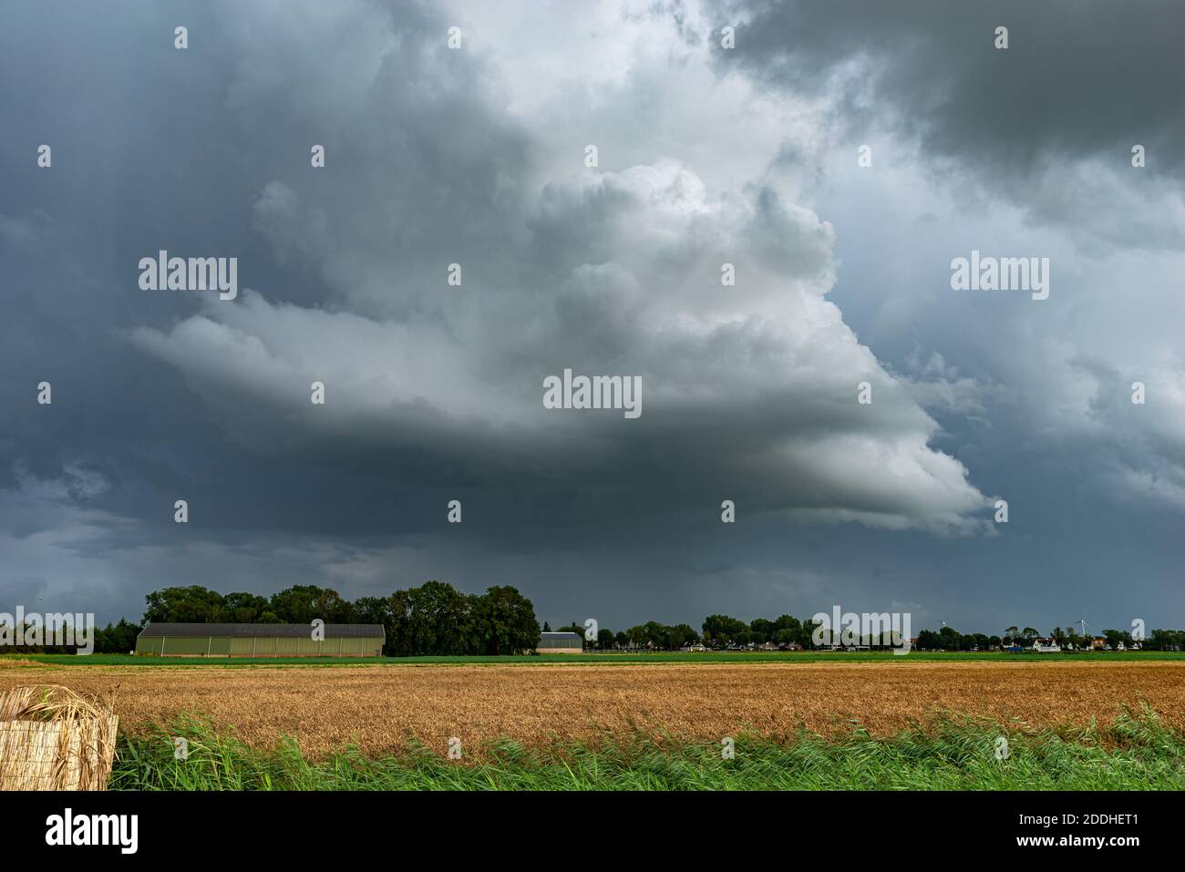 Distinct updraft of a strong thunderstorm over the dutch countryside Stock Photo
