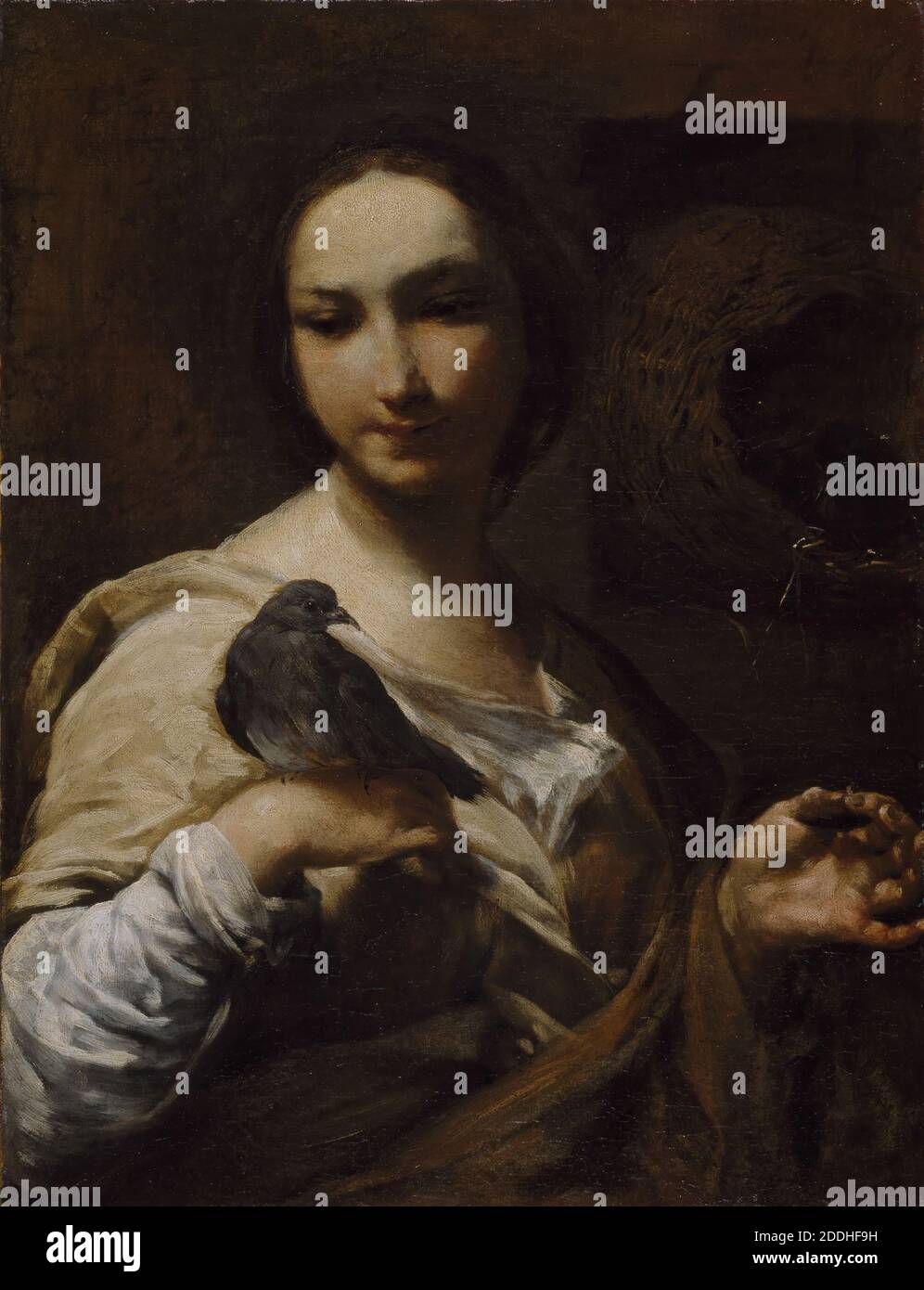 Girl Holding a Dove, 1721-27 By Giuseppe Maria Crespi, Girl, Bird, Dove, Bird, Pigeon Stock Photo