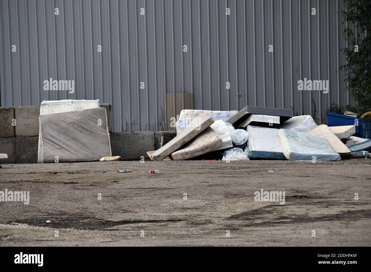 A pile of old wornout mattresses on the ground along the back fence