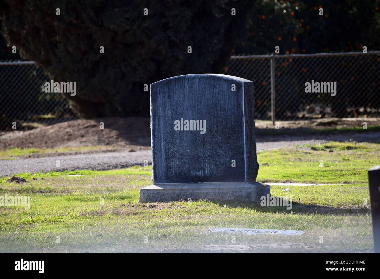 A closeup shot of a single concrete tombstone in a cemetery Stock Photo