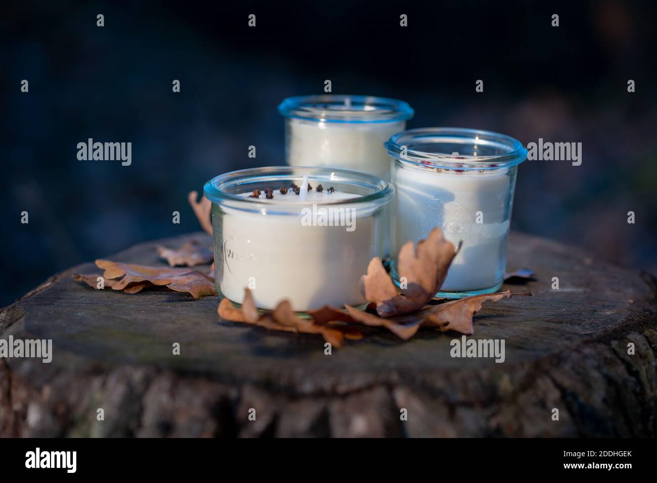 Handmade soy candles presented in the nature during sunset Stock Photo ...