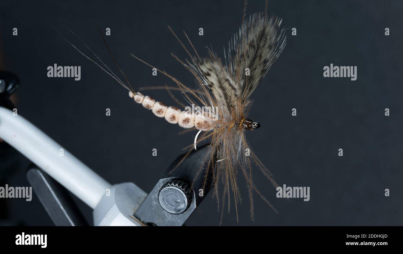 Hand tied flies hires stock photography and images Alamy