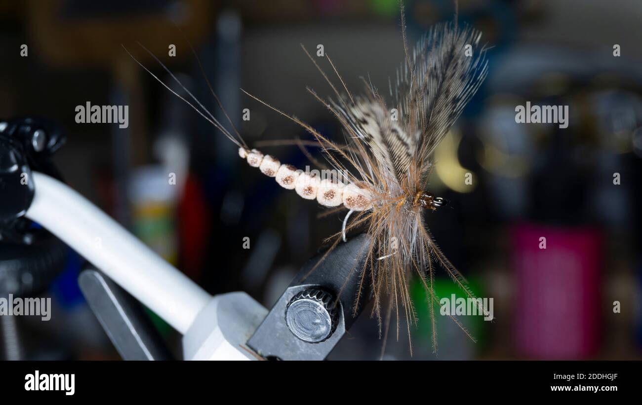 Hand tied flies hires stock photography and images Alamy