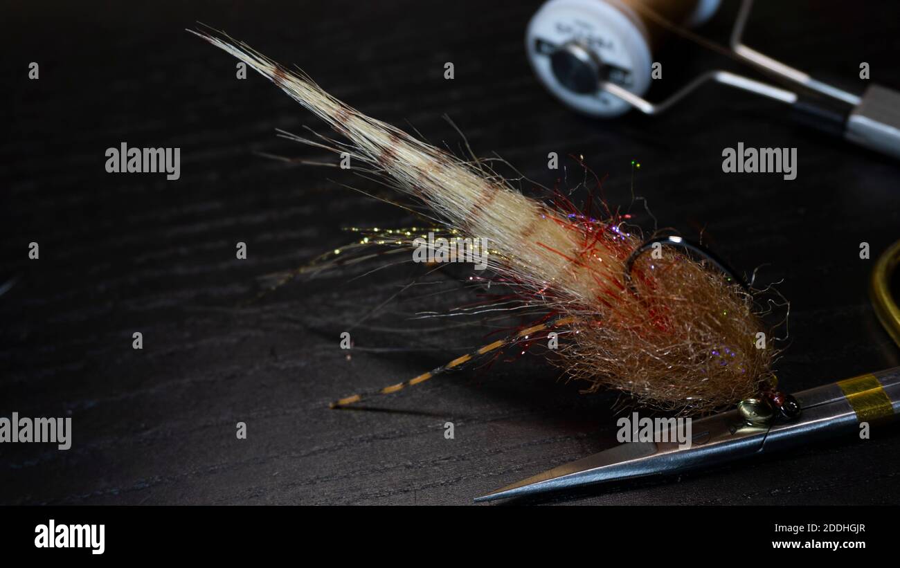 redfish crack fishing fly Stock Photo