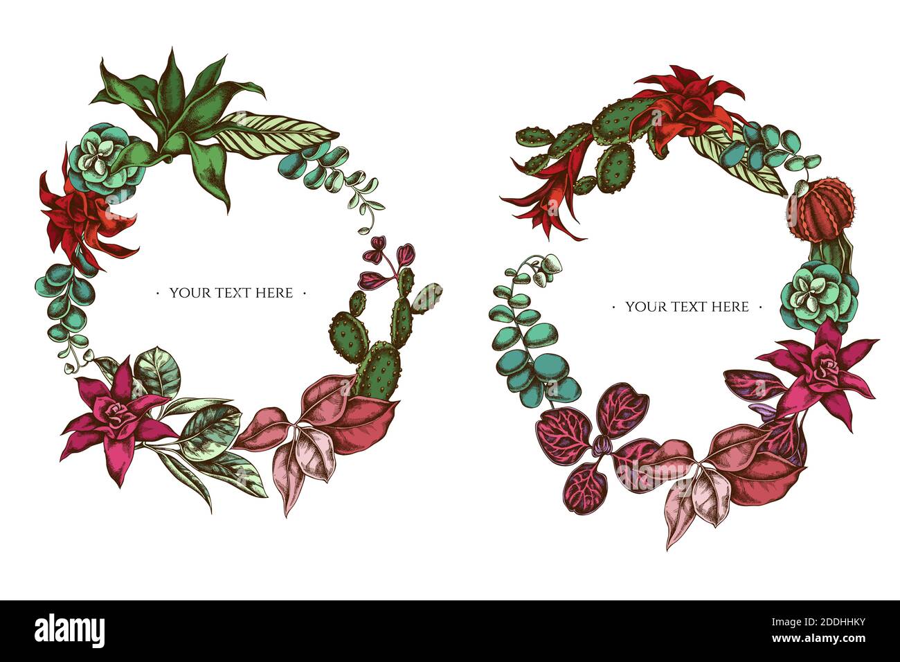 Floral Wreath of colored ficus, iresine, kalanchoe, calathea, guzmania, cactus Stock Vector