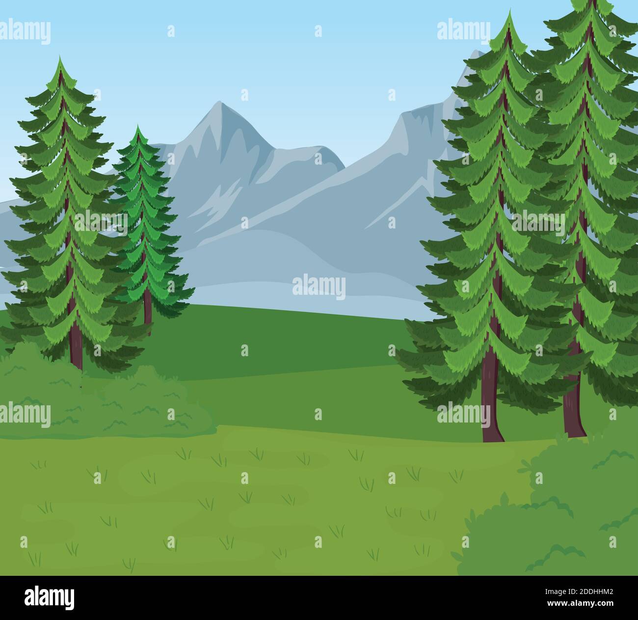 field camp landscape scene with pines trees Stock Vector Image & Art ...