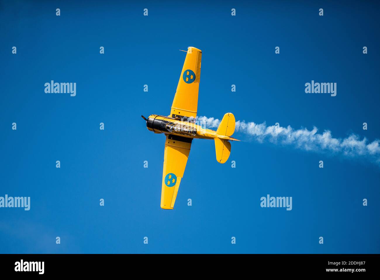 The North American Aviation T-6 Texan is an American single-engined advanced trainer aircraft used to train pilots of the United States Army Air Force Stock Photo