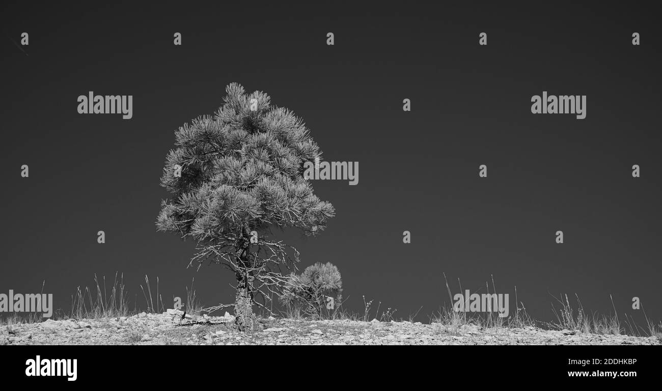 Sky only Black and White Stock Photos & Images - Alamy