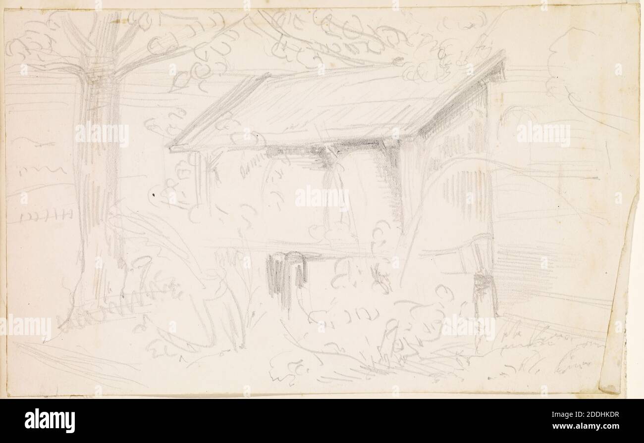 Study of a Beehive, 1882 William Holman Hunt, Tree, Drawing, Ink ...