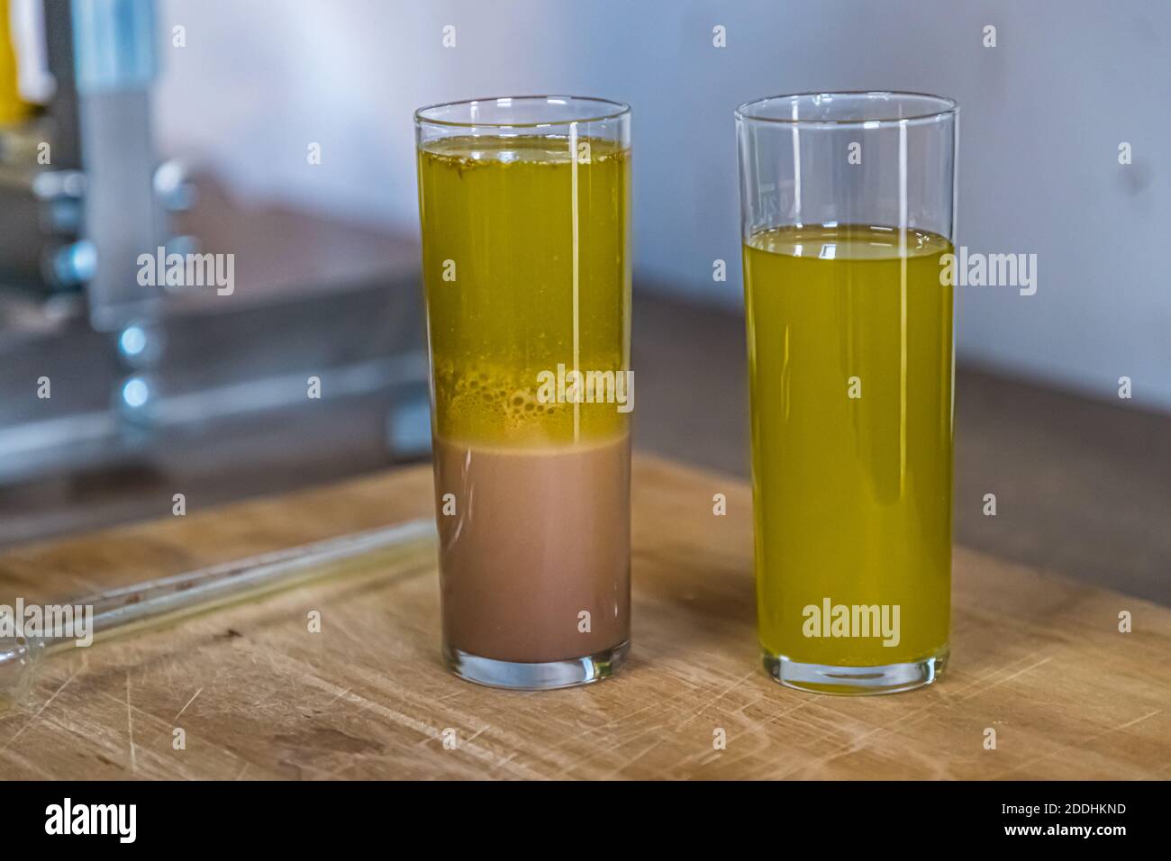 https://c8.alamy.com/comp/2DDHKND/northernmost-olive-oil-production-in-pulheim-germany-an-aqueous-liquid-settles-in-the-pressed-juice-which-is-later-separated-from-the-oil-floating-on-top-koelsch-beer-glasses-serve-as-laboratory-containers-here-in-pulheim-2DDHKND.jpg