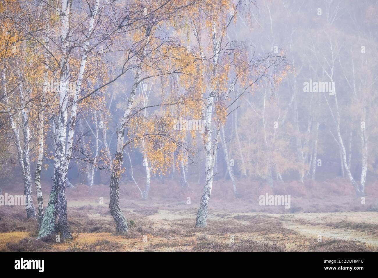 New hampshire winter scenes hi-res stock photography and images - Alamy