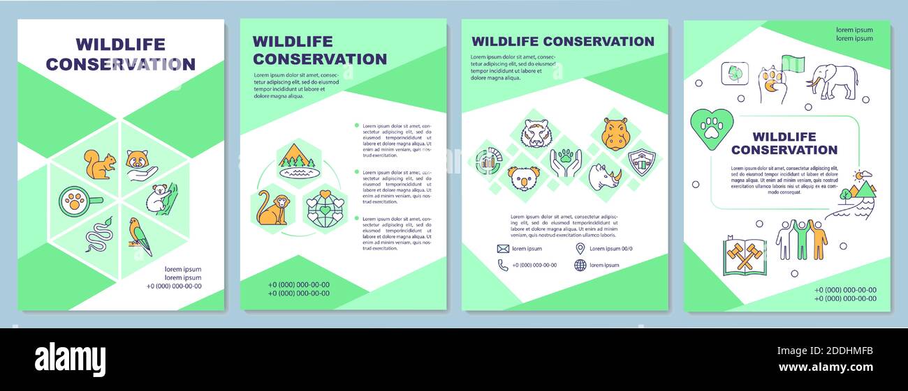 Wildlife conservation brochure template Stock Vector Image & Art Alamy