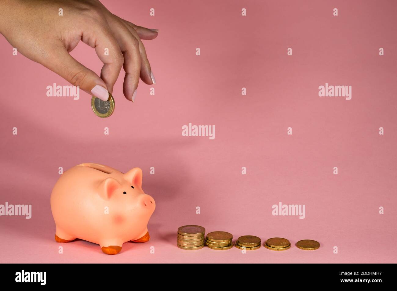 woman hand with piggy bank with coins Stock Photo