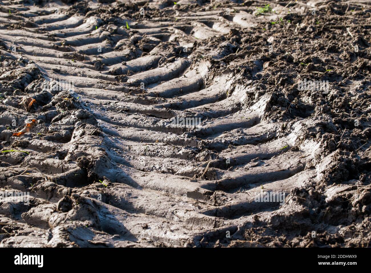 Tire track from a tractor on the freshly plowed field. Stock Photo
