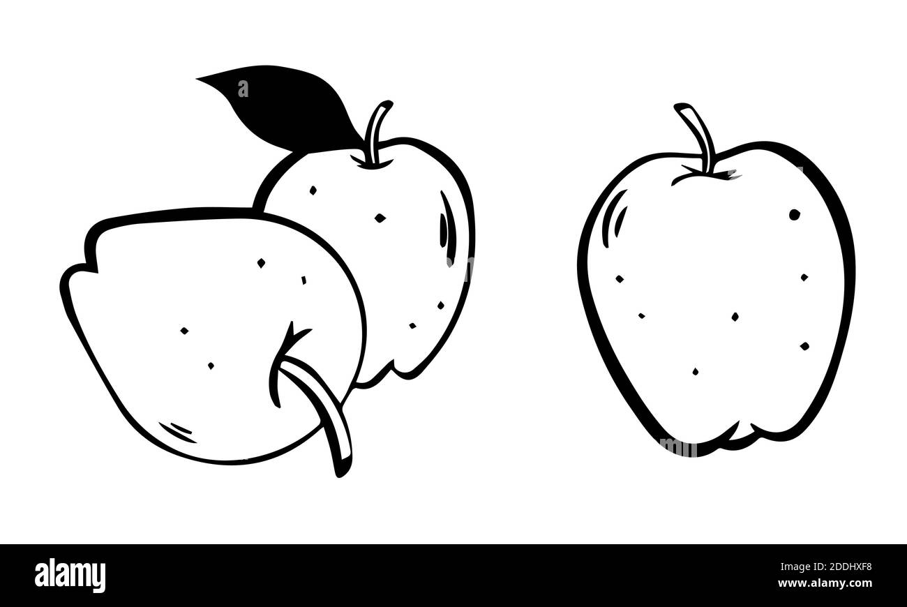 Illustration set of sketch apples. illustration isolated on white background. Vector outline cartoon apples set. Stock Photo