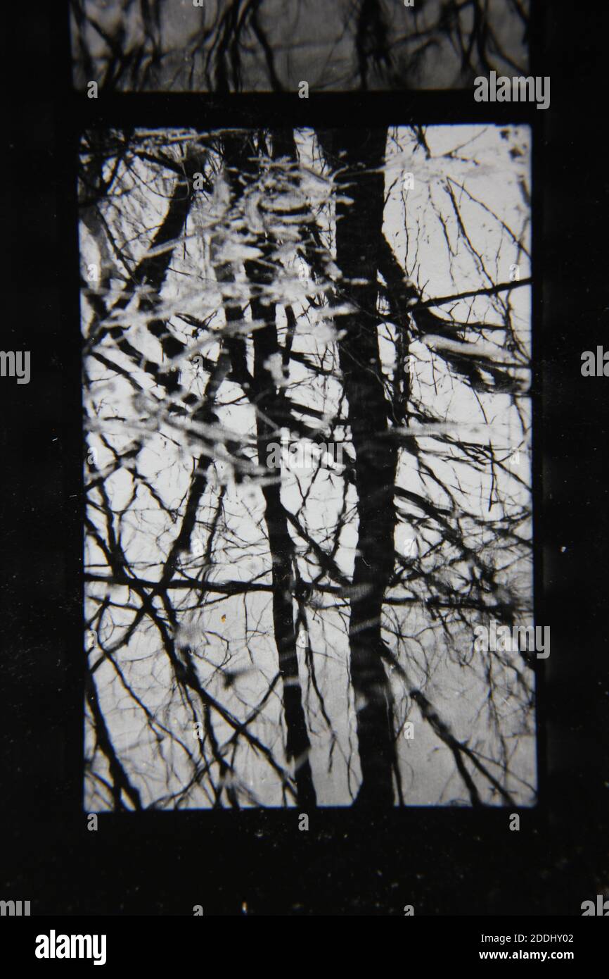 Fine 1970s vintage black and white photography of the natural beauty of ...