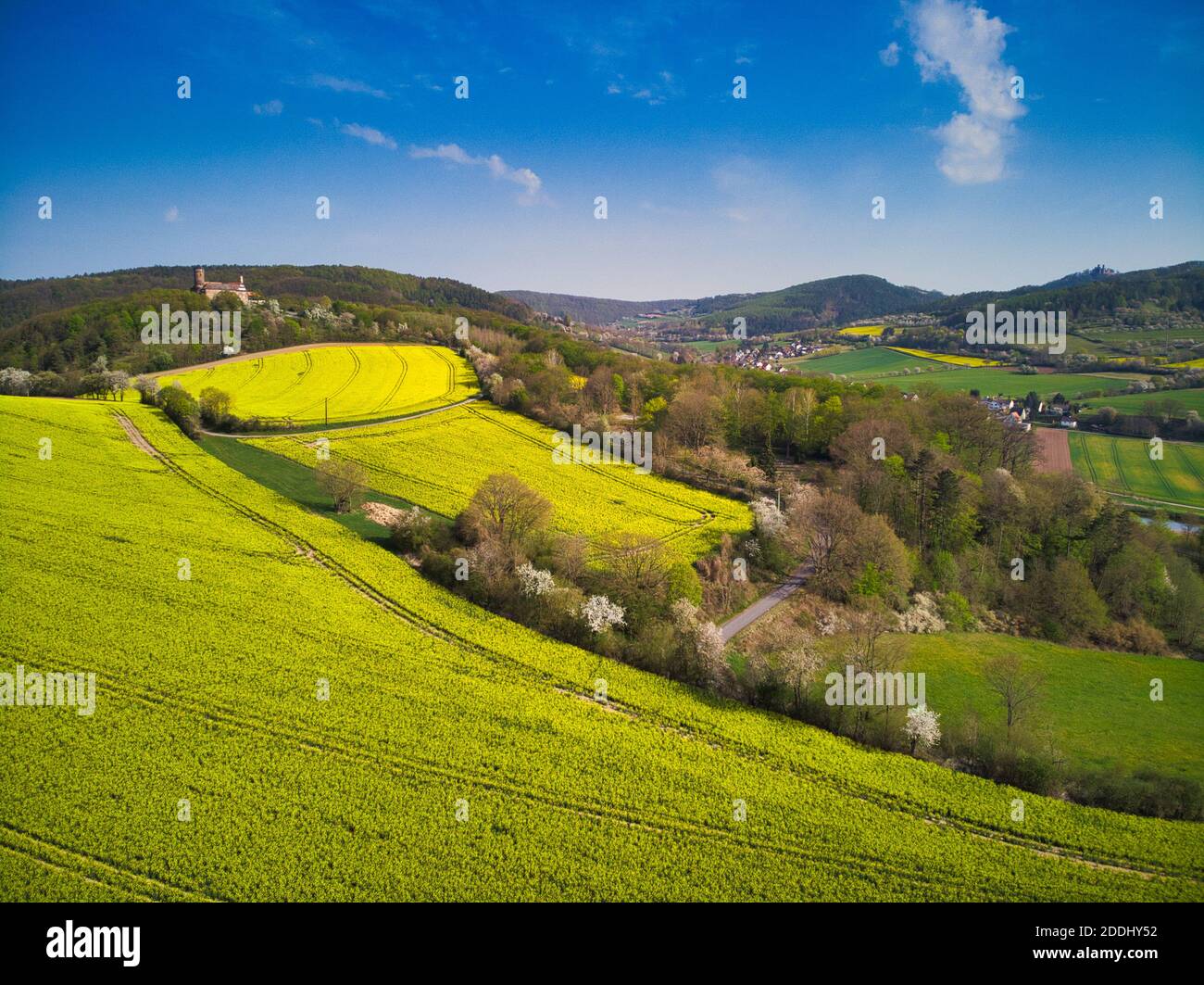 Burg Ludwigstein bei Witzenhausen im Werratal mit Rapsblüte im Frühling ...