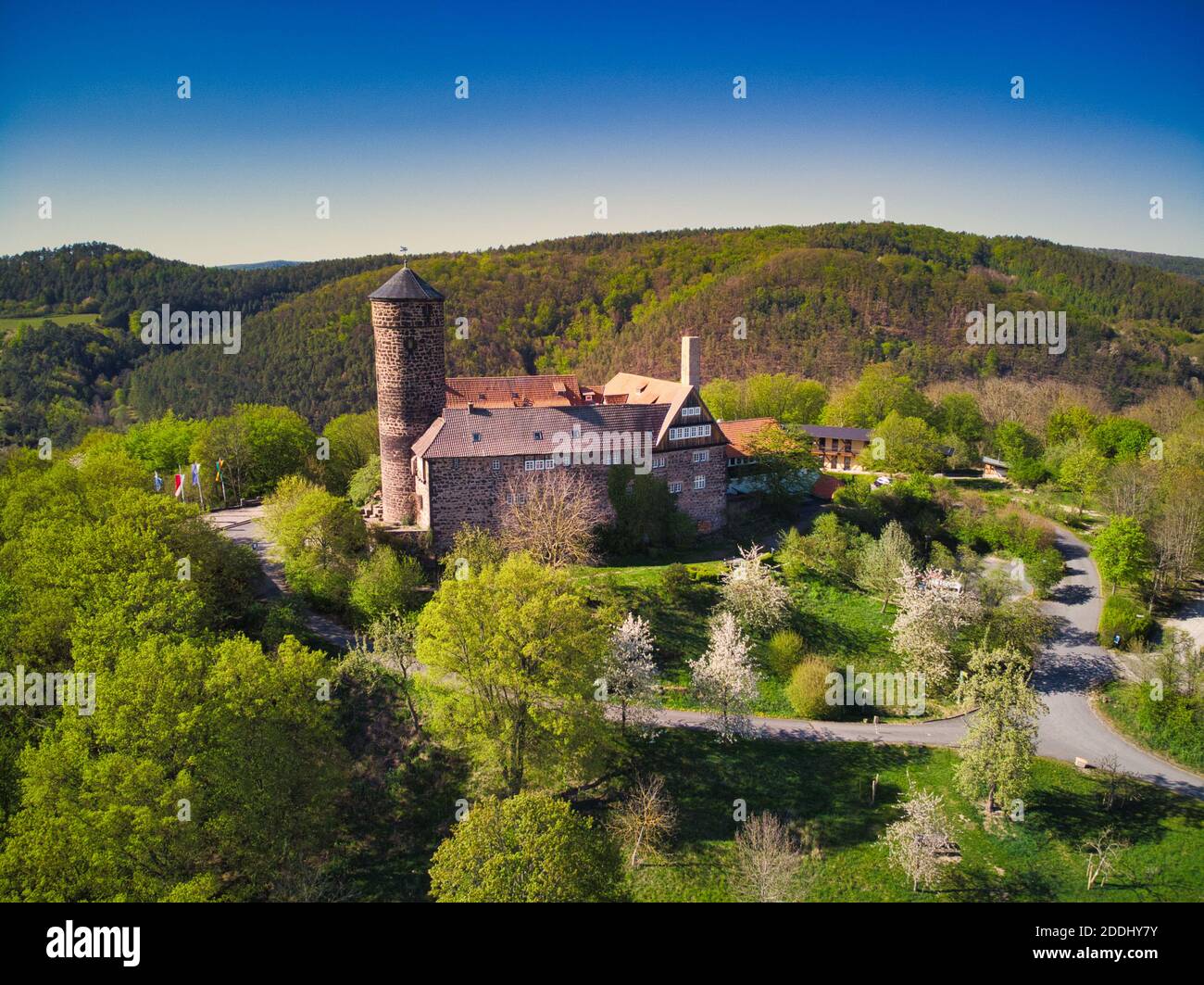 Burg Ludwigstein bei Witzenhausen im Werratal mit Rapsblüte im Frühling ...