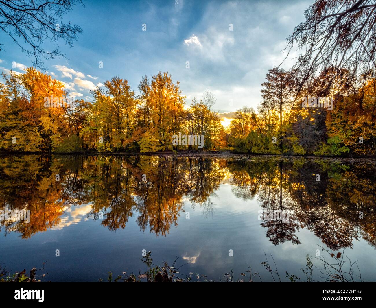 Autumn in Brooklyn, New York Stock Photo - Alamy