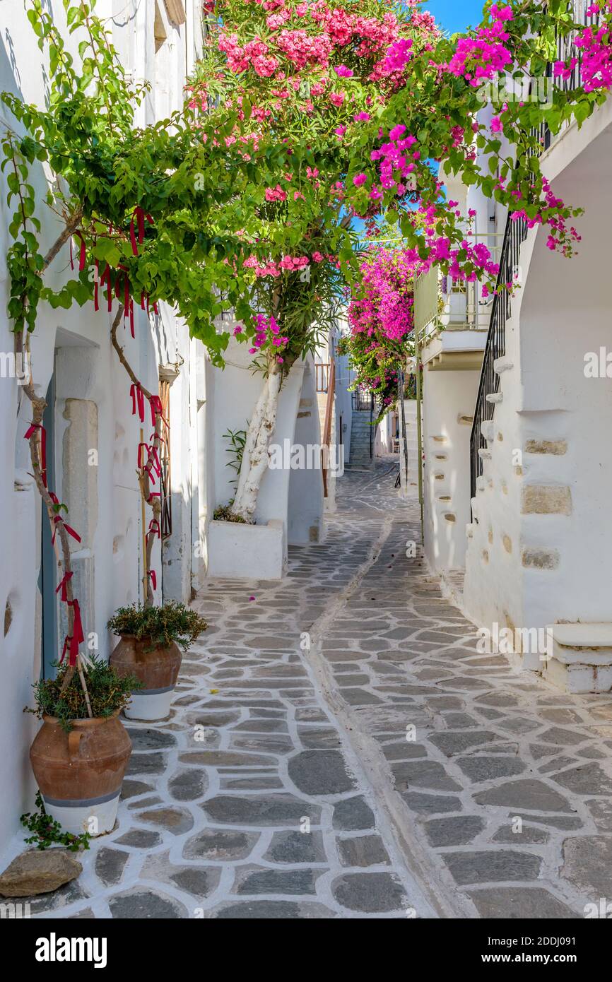 Traditional Cycladitic alley with a narrow street, whitewashed houses ...