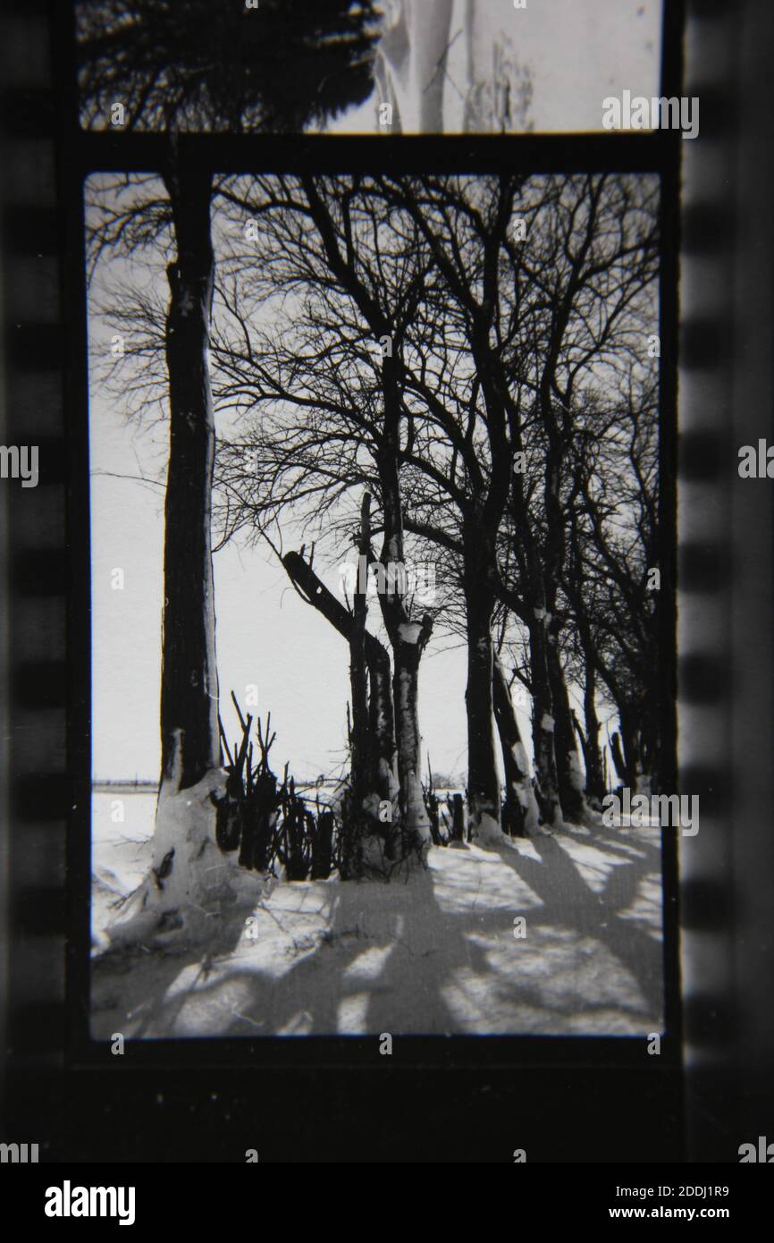 Fine 1970s vintage black and white photography of the natural beauty of ...