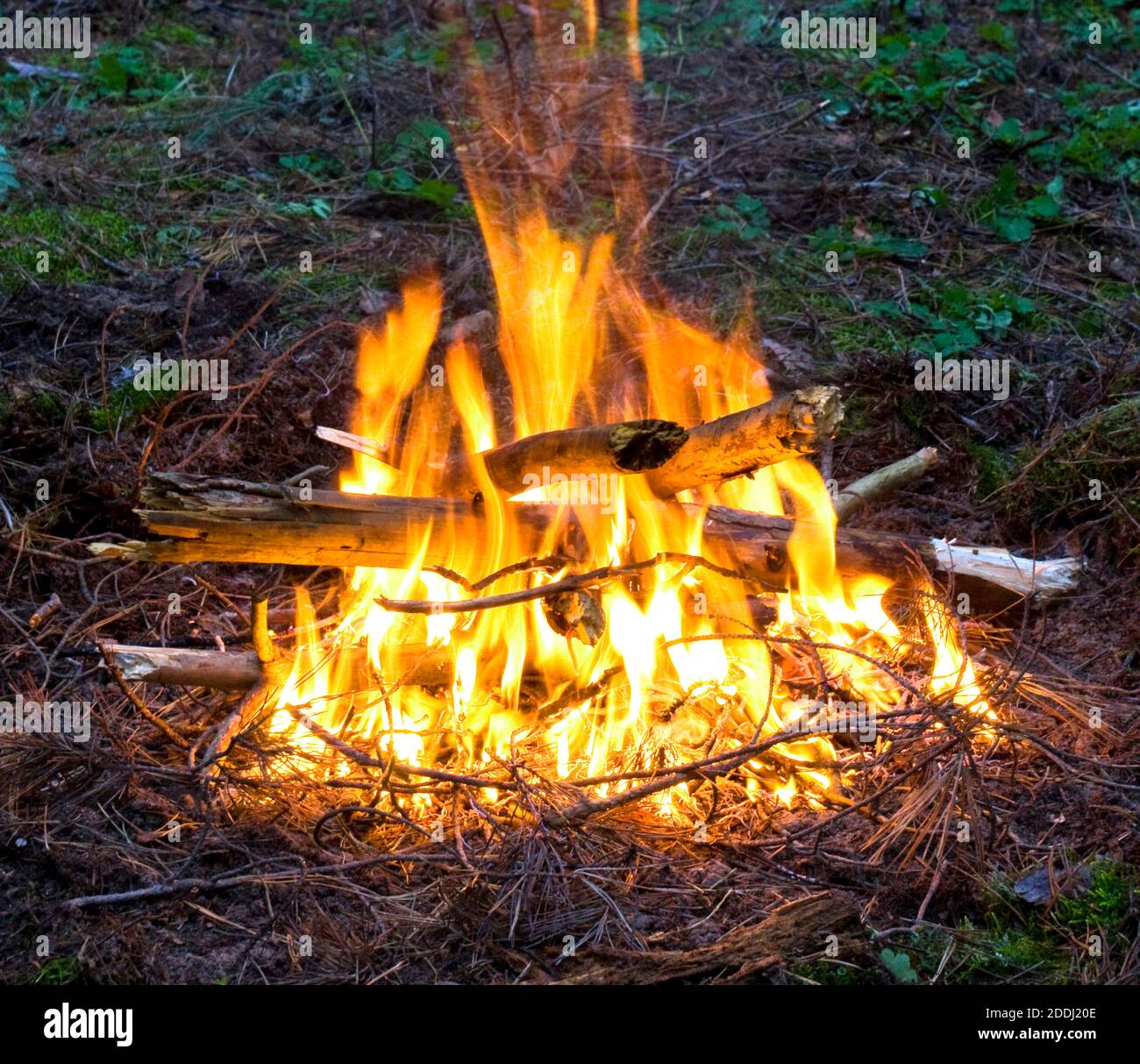 Hot camp fire burning bright Stock Photo Alamy