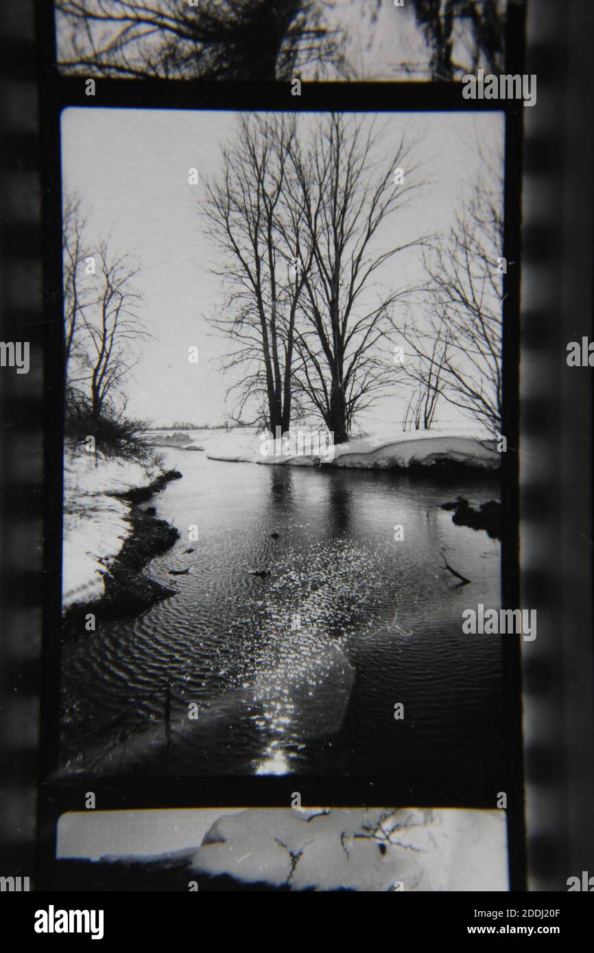Fine 1970s vintage black and white photography of the natural beauty of ...