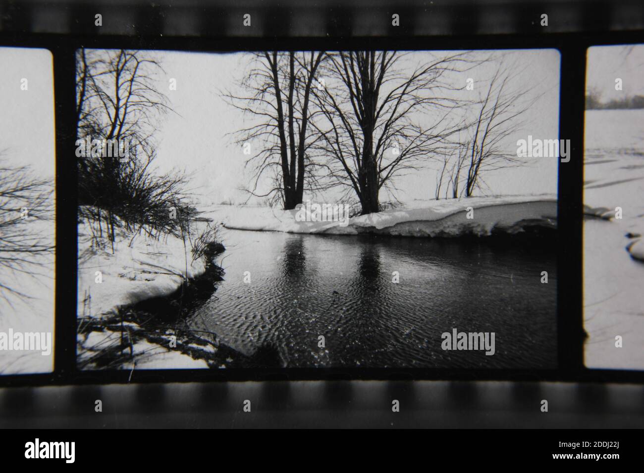 Fine 1970s vintage black and white photography of the natural beauty of ...