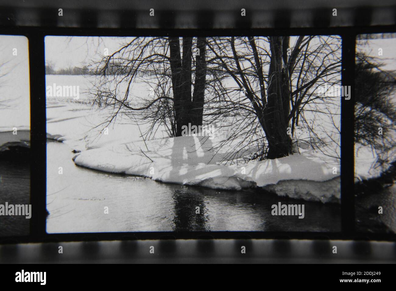 Fine 1970s vintage black and white photography of the natural beauty of ...