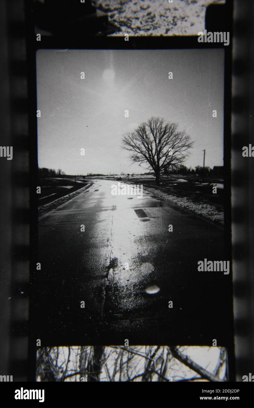 Fine 1970s vintage black and white photography of the natural beauty of ...