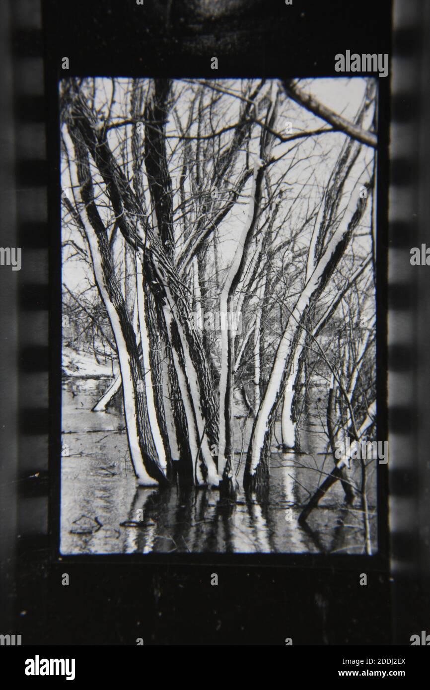 Fine 1970s vintage black and white photography of the natural beauty of ...