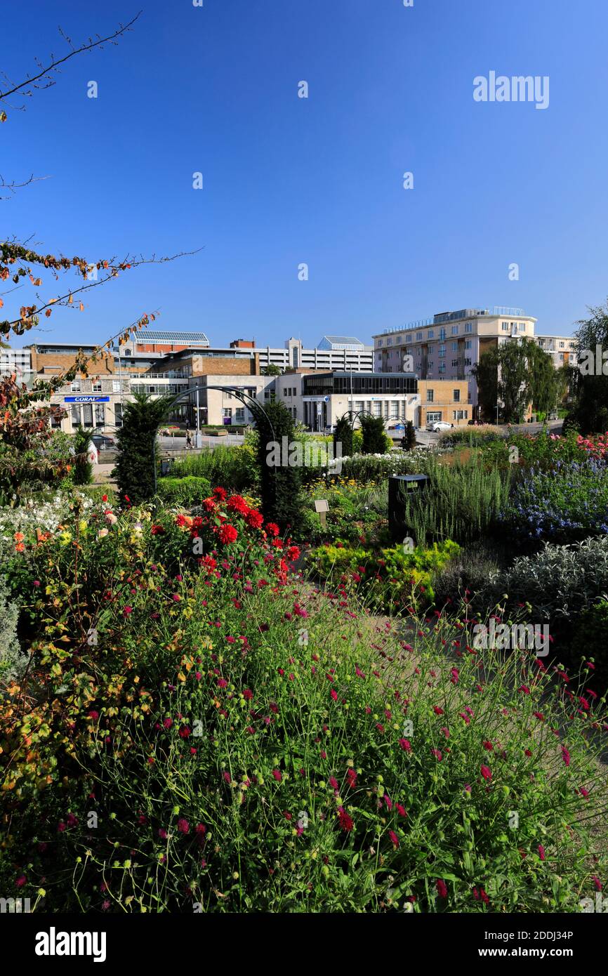 Summer view of the Jellicoe Water Gardens, Hemel Hempstead town