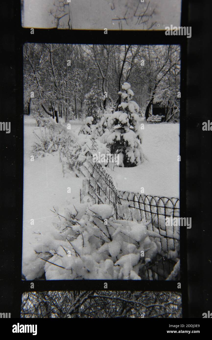 Fine 1970s vintage black and white photography of the natural beauty of ...