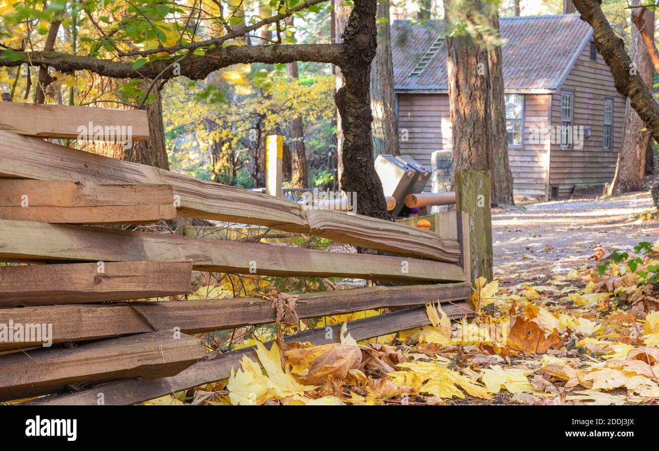 Landscape of autumn foliage in forest with wooden fence and path ...