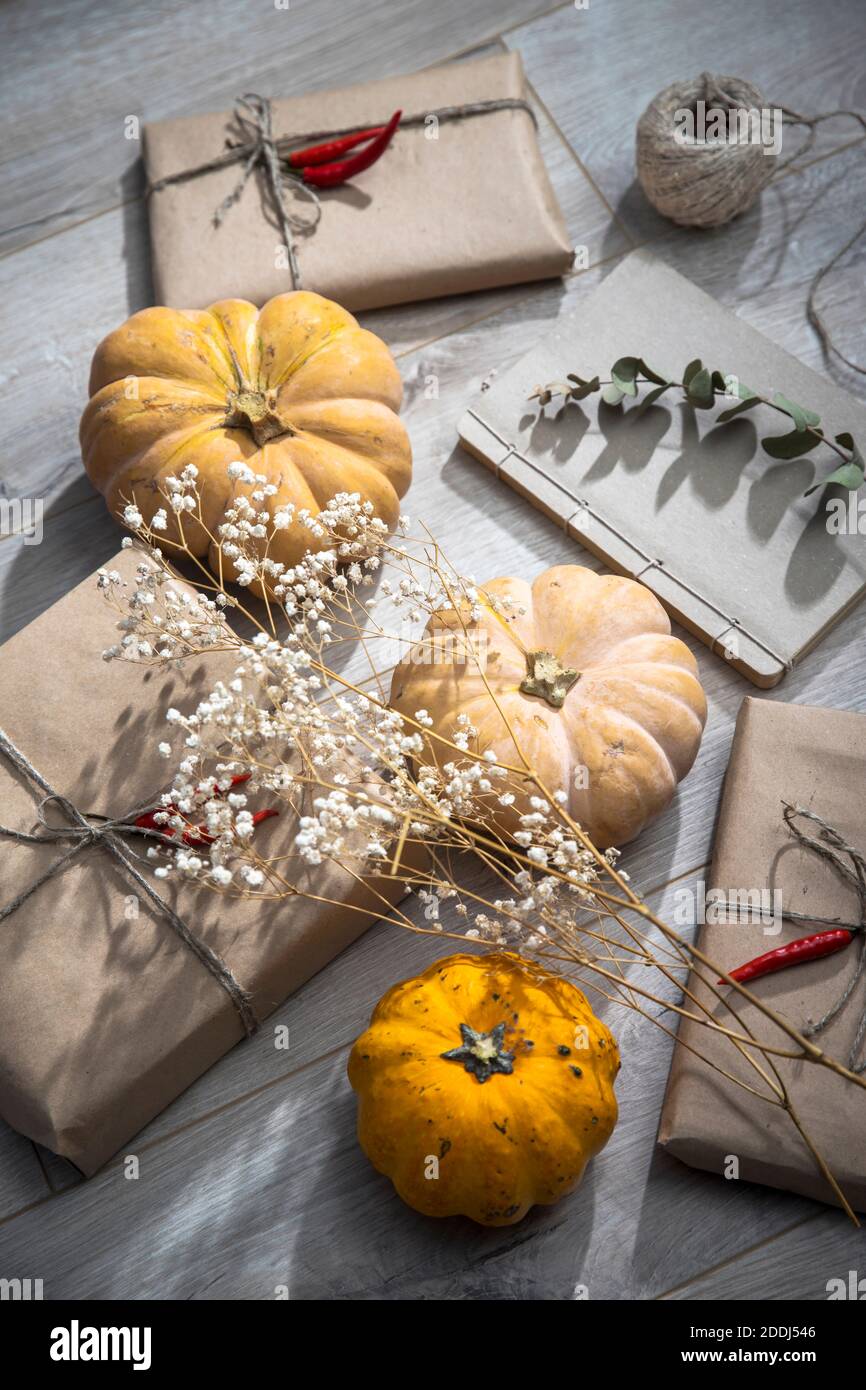 Packaged and bandaged gifts, pumpkins, a cup of tea and dried plants ...