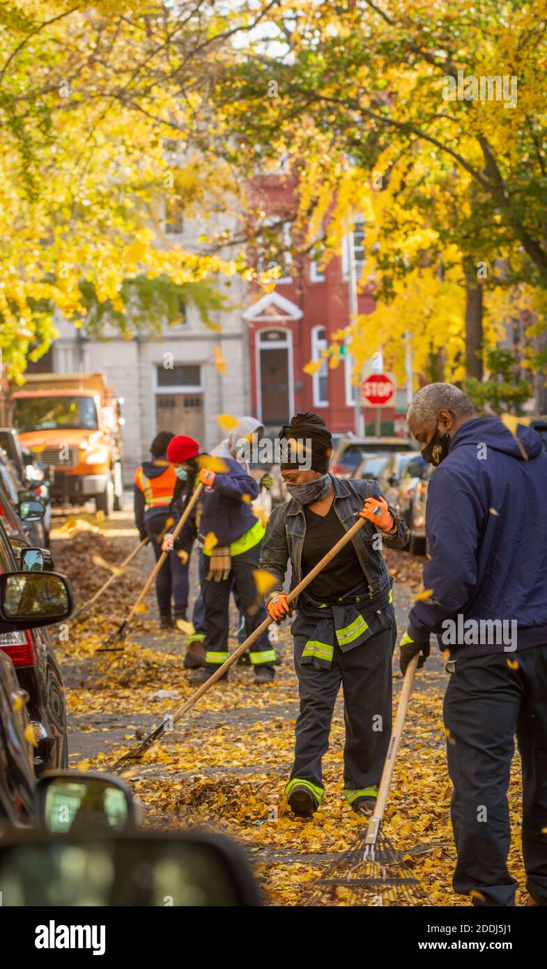 City workers rake leaves on Church Street NW n the Logan neighborhood of Washington DC. Stock Photo