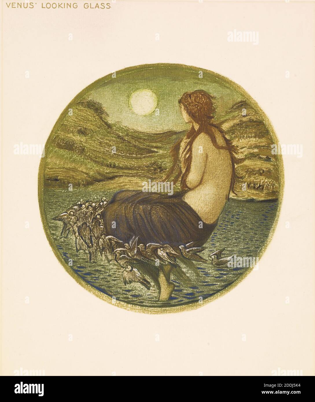 From The Flower Book- Venus' Looking Glass, 1905 Sir Edward Burne-Jones ...