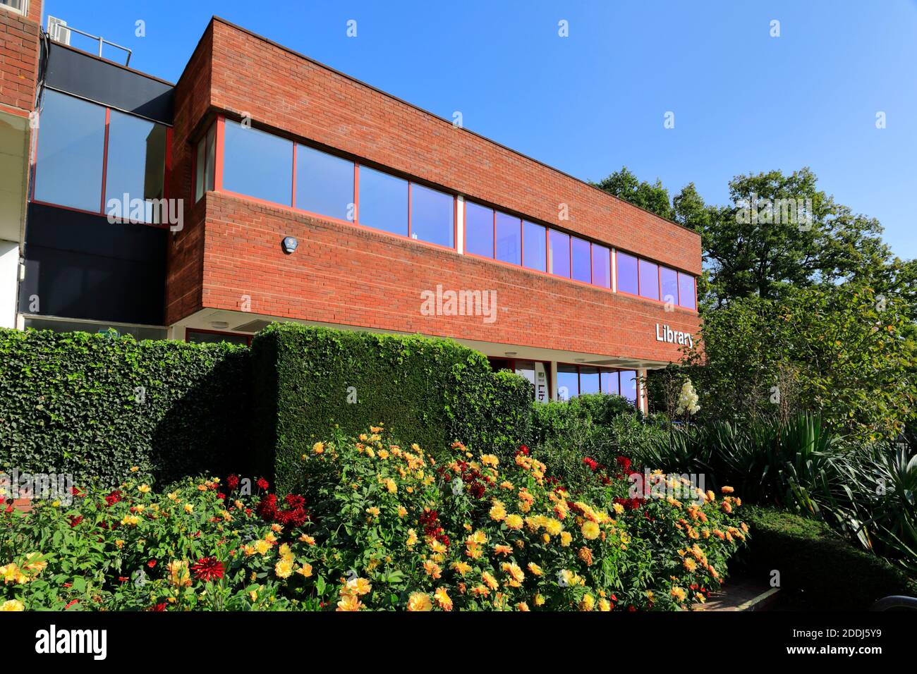 Welwyn garden city shopping hires stock photography and images Alamy