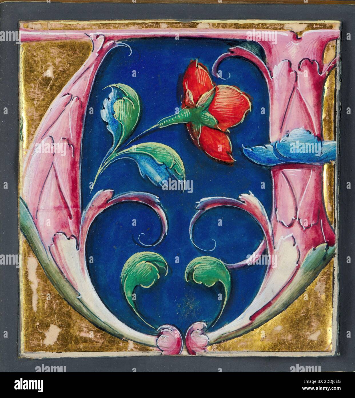 Decorated initial letter 'U', 1530 Unknown Artist, North Italian School, Precious metal, Gold, Tempera, Flower, Frame, Illuminated, Illustration, 16th Century, Leaf, Letter, Works on Paper Stock Photo