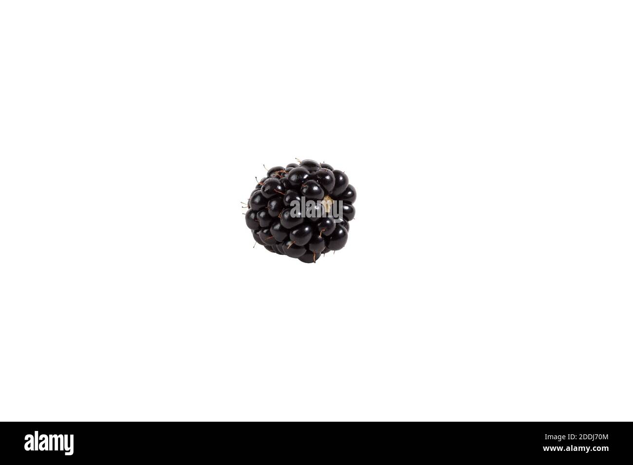 Ripe garden blackberry berry on a white isolated background Stock Photo