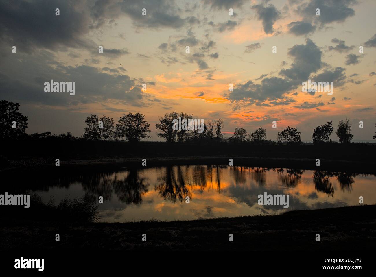 Teich bei Sonnenuntergang mit Shilouetten von Bäumen Stock Photo