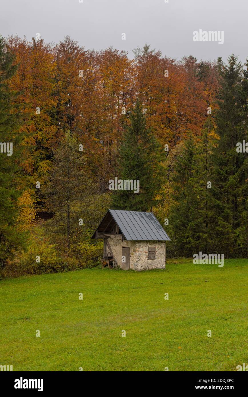 Herbstlicher Wald mit alter Hütte Stock Photo