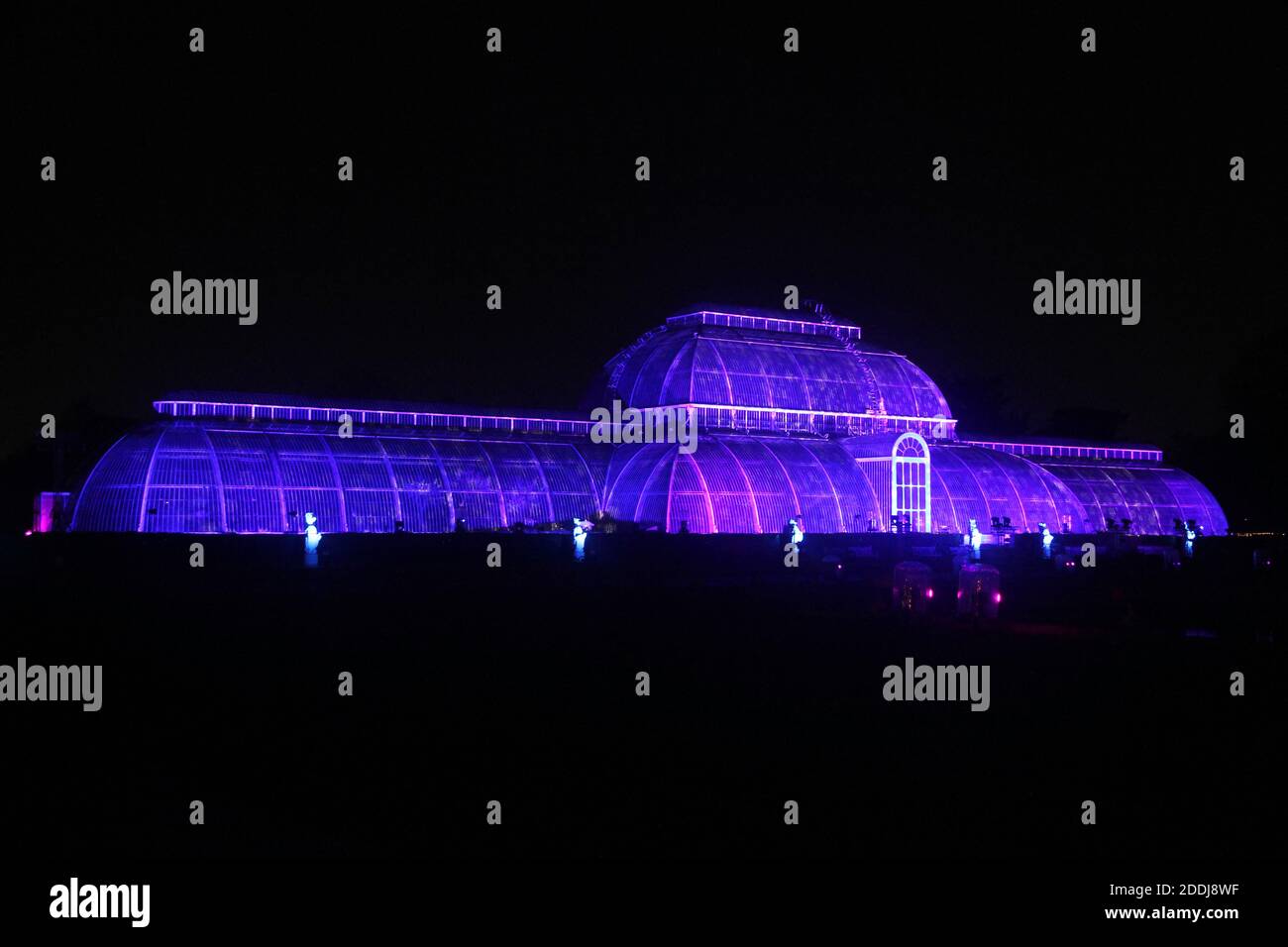 Christmas at Kew, the annual festive light display at the Royal Botanic