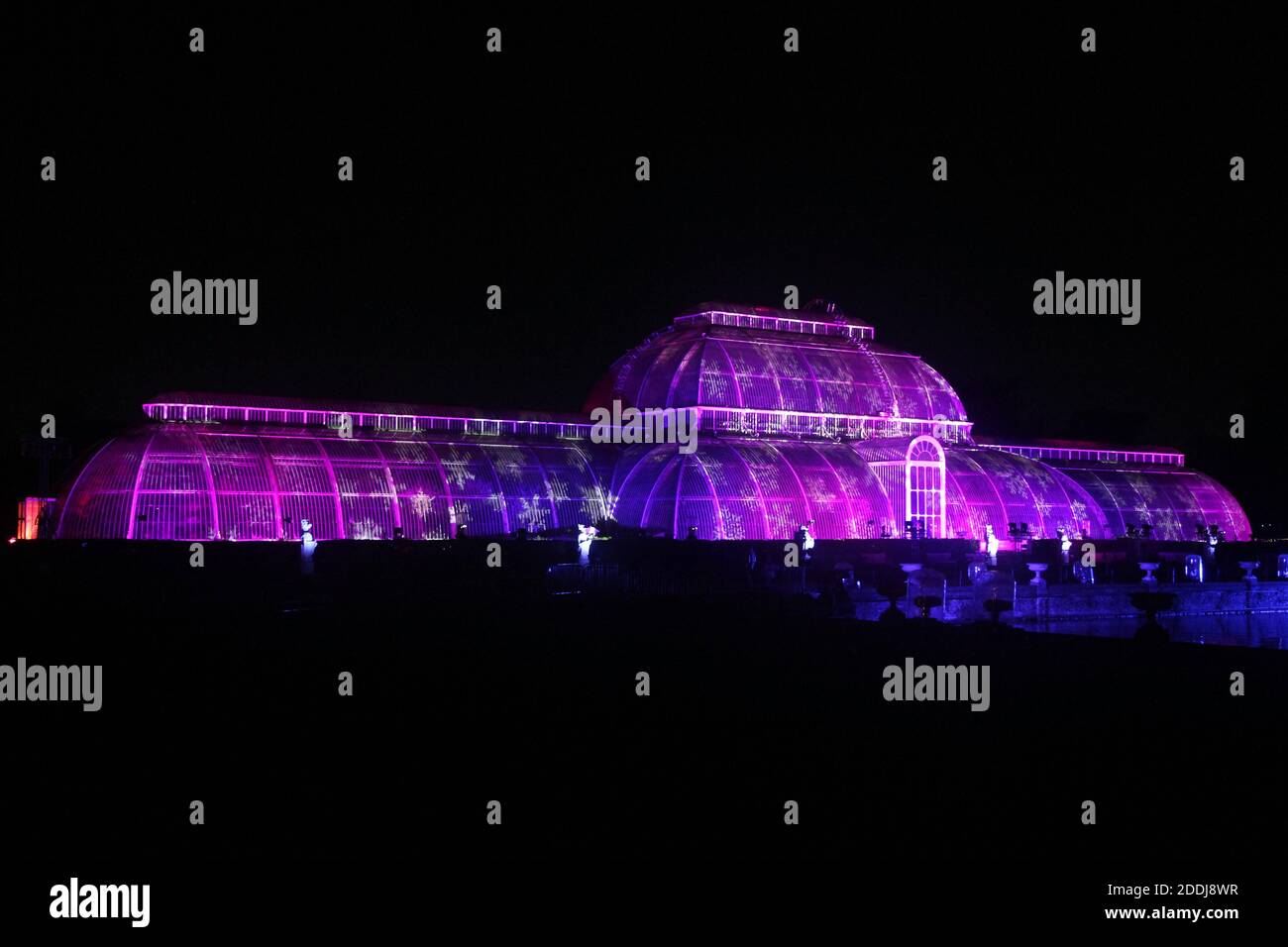 Christmas at Kew, the annual festive light display at the Royal Botanic
