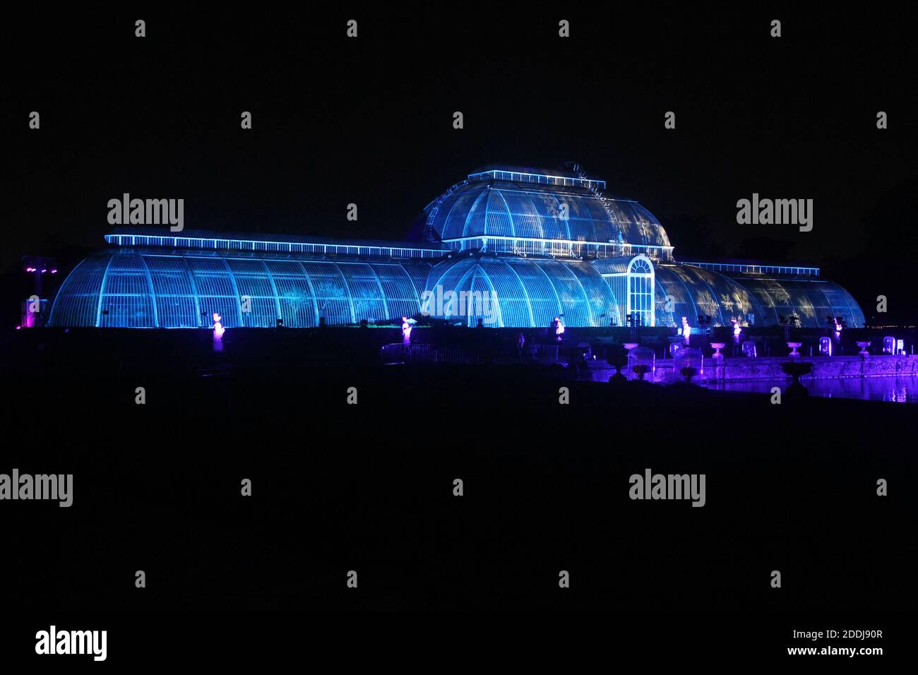 Christmas at Kew, the annual festive light display at the Royal Botanic