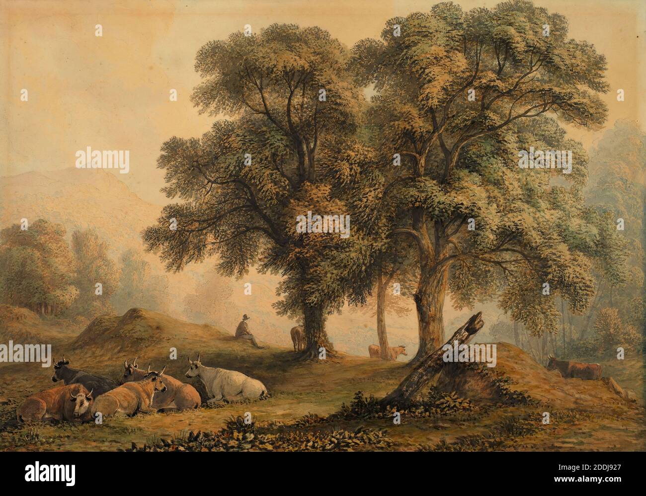 Landscape with Trees and Cattle, 1794-1830 John Glover, Tree, Watercolour, Animal, Cow, Countryside, Farming Stock Photo
