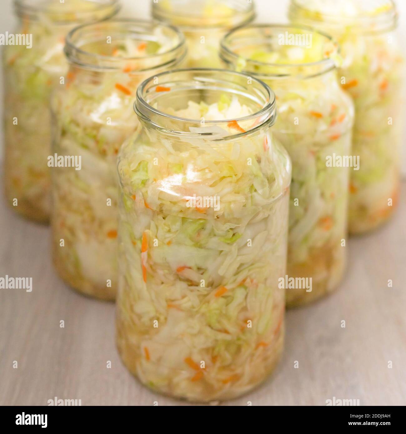 Sauerkraut fermentation in glass pot. Cut white cabbage fermented by